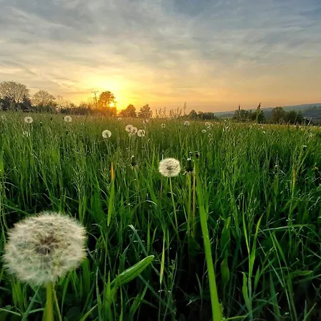 Hébergement de vacances Maringotka Ovcarka Cestin